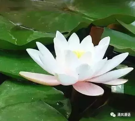 人窮三分冷,心窮七分苦!寫的好真實!