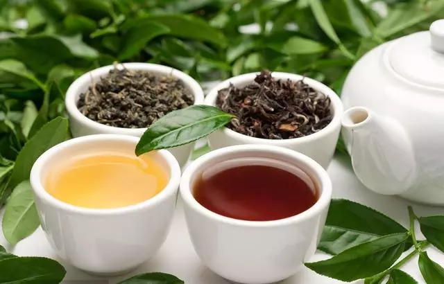 闢謠,貓咪喝的水並非越乾淨越好,常喝三種水,將導致愛貓患病!