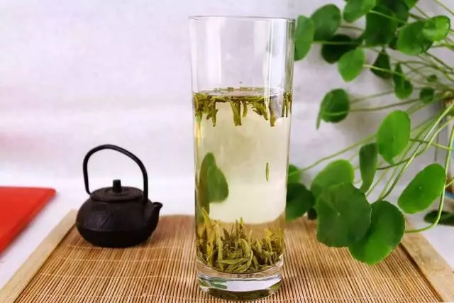 闢謠,貓咪喝的水並非越乾淨越好,常喝三種水,將導致愛貓患病!