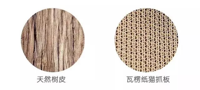 貓咪為什麼痴迷於貓抓板?這是來自於瓦楞紙的神秘力量!