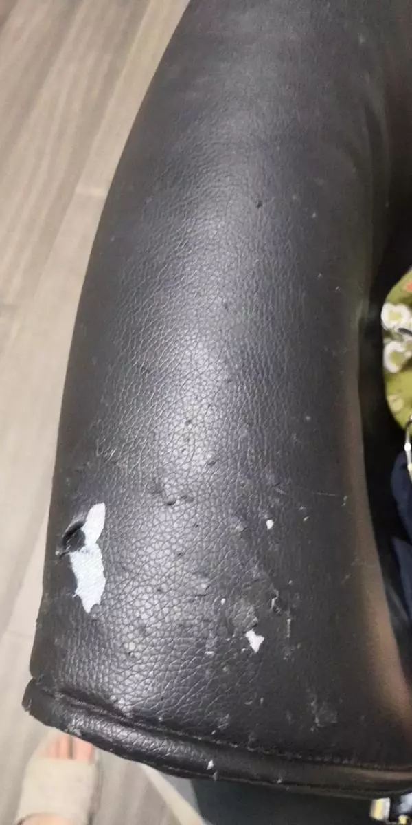 貓咪為什麼痴迷於貓抓板?這是來自於瓦楞紙的神秘力量!