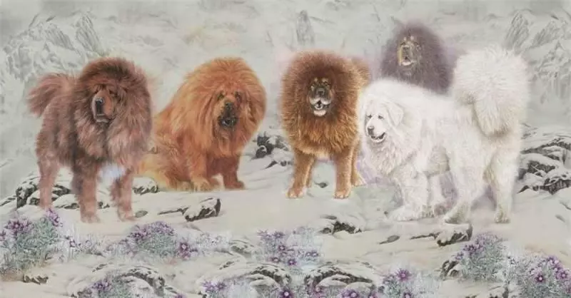 最孝順的6大生肖,命也最是好