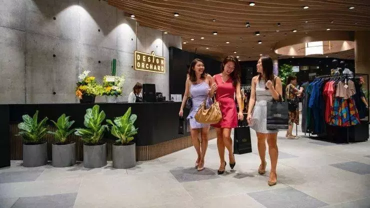 《新加坡》」海關」新政開始實行,有人被罰了!出入境要注意這些