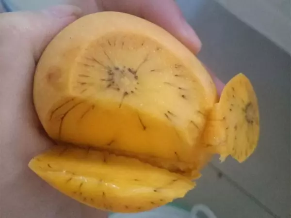 她把芒果剝皮後「驚見濃密腿毛」!發問:這還可以吃嗎?網友忙制止「趕快丟掉」!