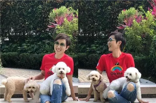 跟李嘉欣周慧敏搶男人敗北,未婚夫卷2.8億跑路,再美有何用?