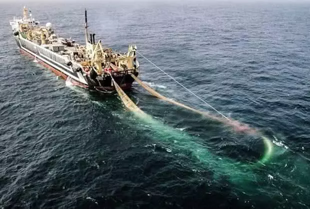 世界上最大的捕魚船:造價高達18億元,一網魚幾輩子都吃不完!
