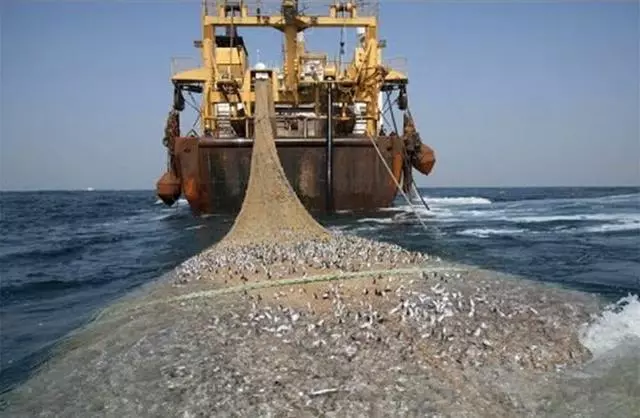 世界上最大的捕魚船:造價高達18億元,一網魚幾輩子都吃不完!