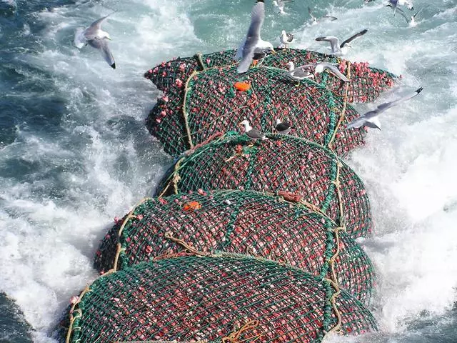 世界上最大的捕魚船:造價高達18億元,一網魚幾輩子都吃不完!