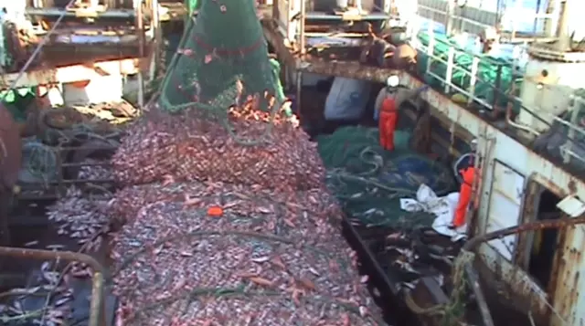 世界上最大的捕魚船:造價高達18億元,一網魚幾輩子都吃不完!