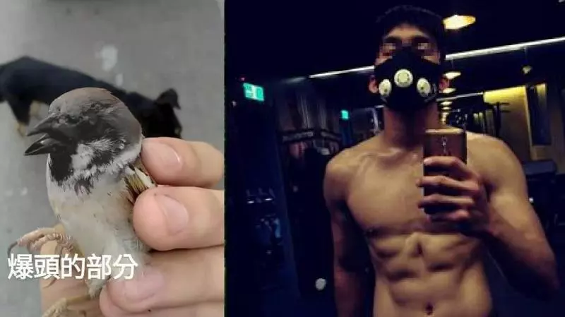 同框林志玲害她「慘變蛇精臉」!丫頭揭真相:跟姐姐跪了