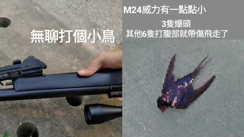 同框林志玲害她「慘變蛇精臉」!丫頭揭真相:跟姐姐跪了