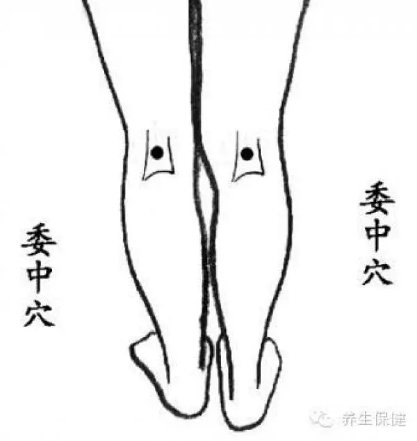 這些不為人知的人體毒素排泄口!每天按,把濕毒排出去,人就會少生病!!