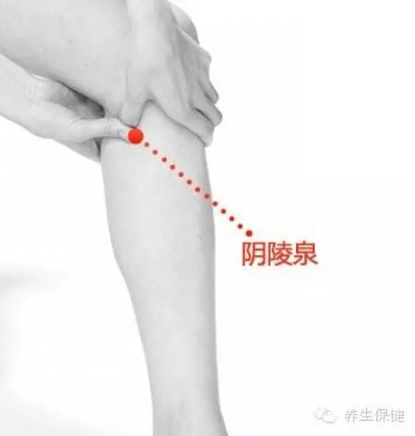 這些不為人知的人體毒素排泄口!每天按,把濕毒排出去,人就會少生病!!