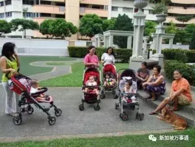 中國僱主:在新加坡請的女傭,比中國的阿姨差遠了~