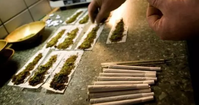 泰國菸草局準備生產「大麻香菸」 |
