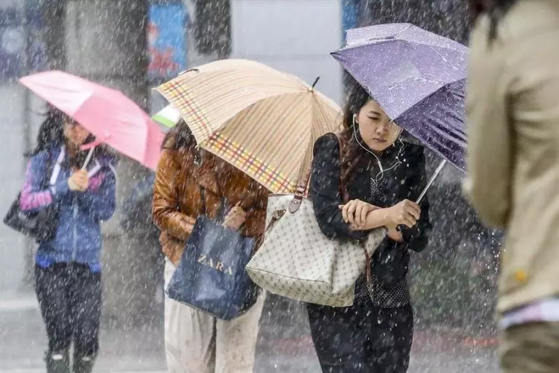 明雨彈3地區最猛 下周恐一波更大