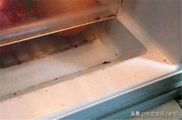 冰箱髒了很難清洗?教你5個清洗冰箱的小妙招,讓冰箱煥然一新