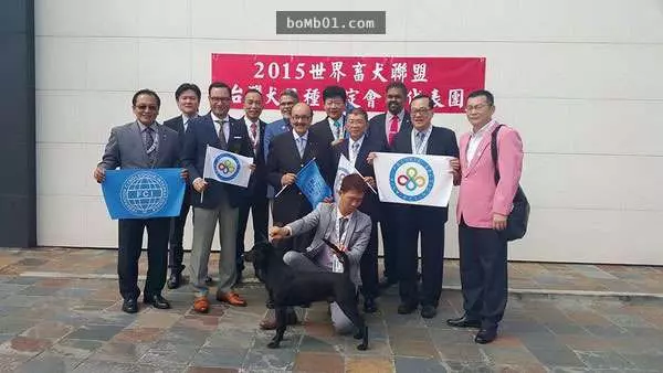 不要再叫什麼「台灣土狗」啦!獲得國際認證,正式名稱超霸氣!