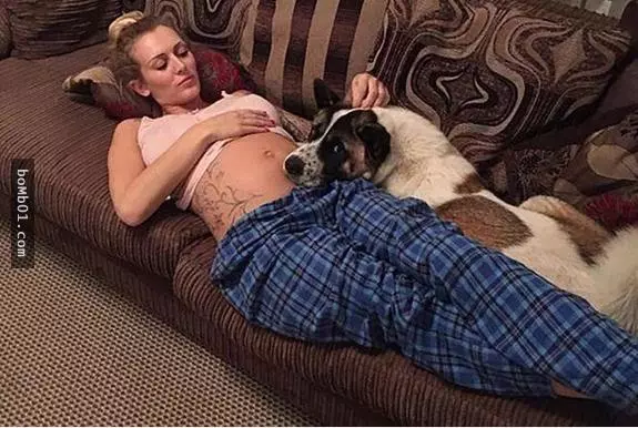 她懷孕20週時發現愛犬行為異常好像在哭,去了醫院檢查醫生竟對她說「差點一屍兩命啊」!