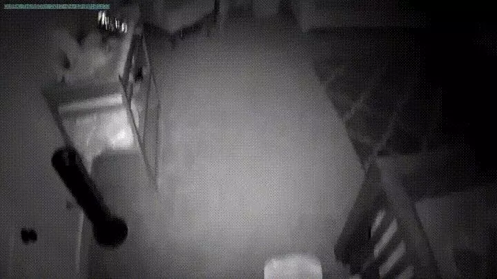 監視器拍到「狗姊姊在半夜2點溜進寶寶房」,接著的畫面證明父母沒有把狗狗送走是正確的決定!