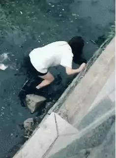 店裡突然失火,主人為了救貓咪,竟獨自闖進大火中,結局讓人感動