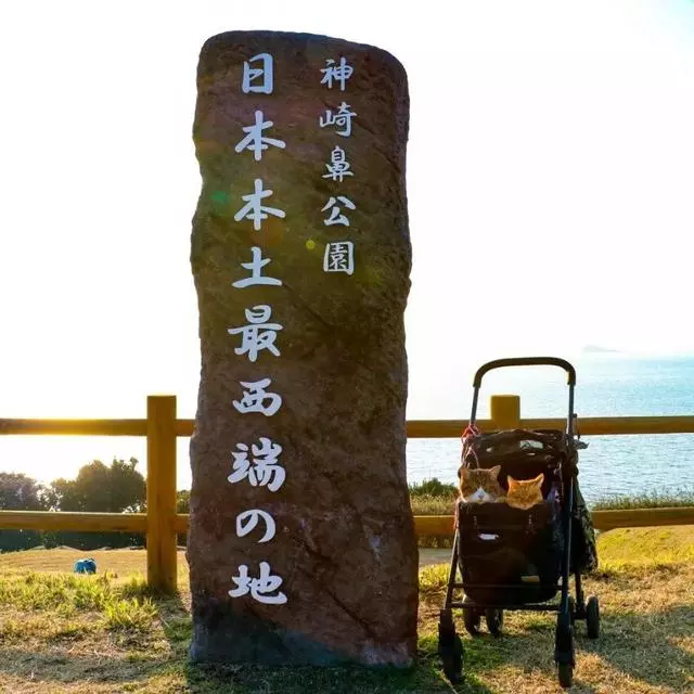 8年遊遍47個城市,這兩隻貓如果出旅遊攻略我一定買!