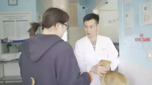 狗子凶不凶,去一趟醫院就知道了