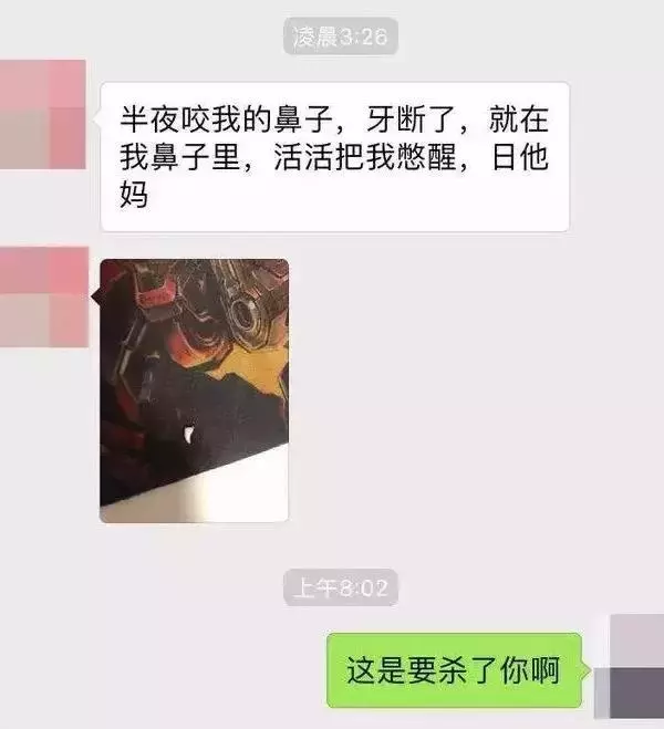 貓咪把電線咬破,結果燒焦了鬍子!網友:好可愛的買買提~