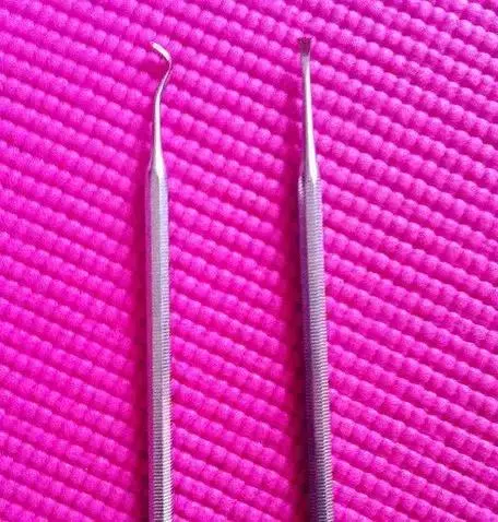 狗狗牙齒全掉光,意外和冰河世紀裡的樹懶撞臉,相似度100%