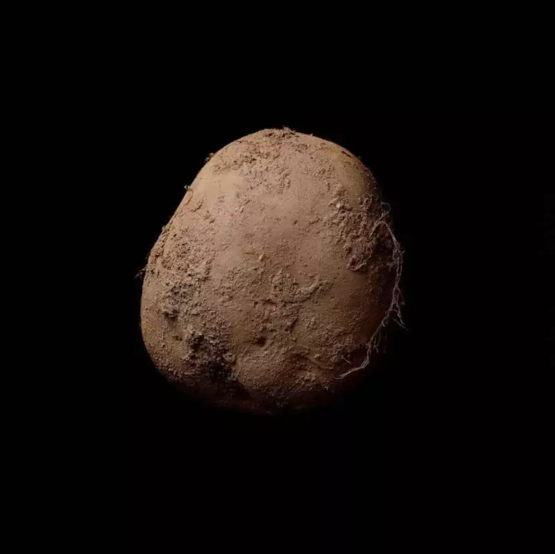 5個放上網就賣出天價的超奇葩商品