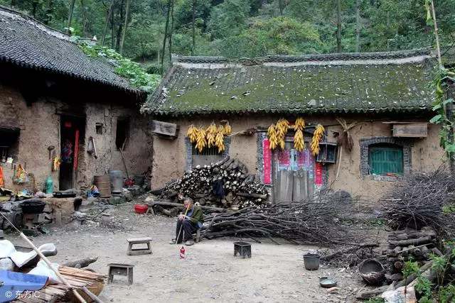 老伴病重三兒不救,多年後老漢立下百萬遺囑,三兒看了泣不成聲