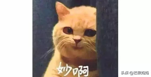 前男友變姐夫?兩姐妹搶男友?賭王一家就是部狗血電視劇啊