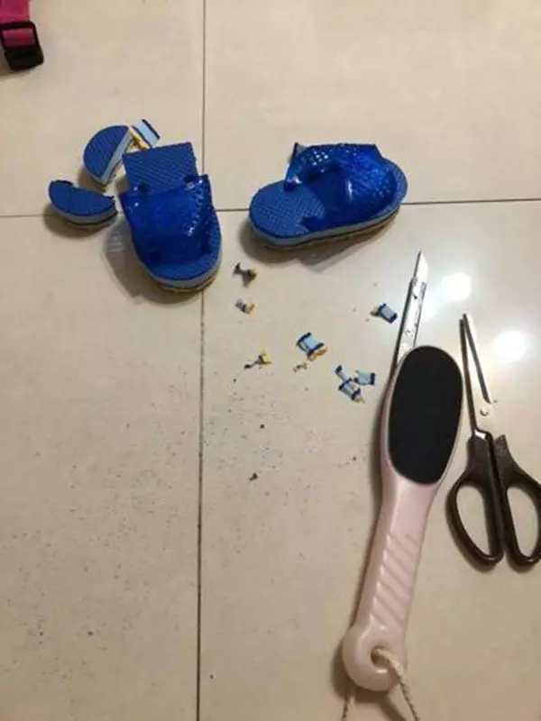 巧手改造室內拖 萌爆網友求團購