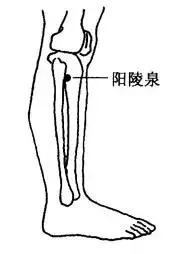 穴位就是中藥,經絡就是藥房!這39個穴位可能是你的救命鑰匙!