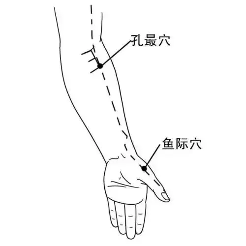 穴位就是中藥,經絡就是藥房!這39個穴位可能是你的救命鑰匙!
