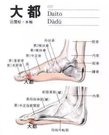 穴位就是中藥,經絡就是藥房!這39個穴位可能是你的救命鑰匙!