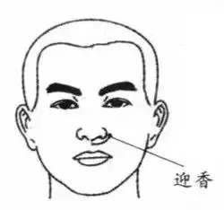 穴位就是中藥,經絡就是藥房!這39個穴位可能是你的救命鑰匙!