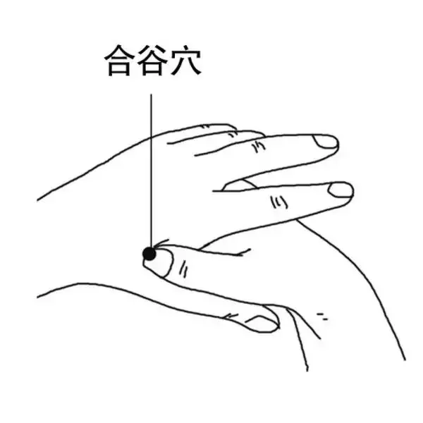 養生不花錢!5個防病保健穴,每天按一按,從頭到腳都健康