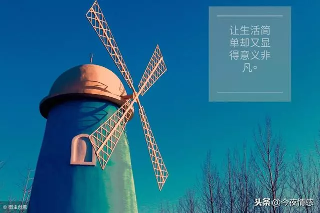 選擇平庸,正在毀掉一些年輕人