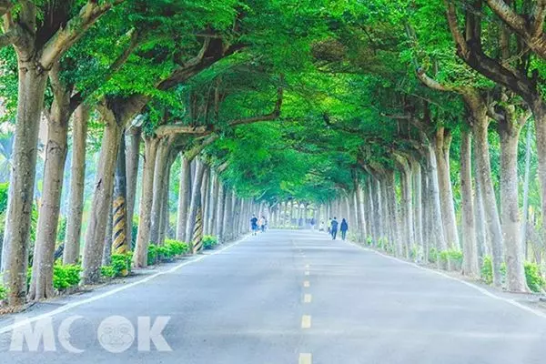 療癒放空超紓壓!全台六大自然景點洗滌心靈