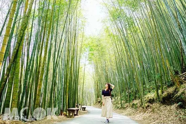 療癒放空超紓壓!全台六大自然景點洗滌心靈