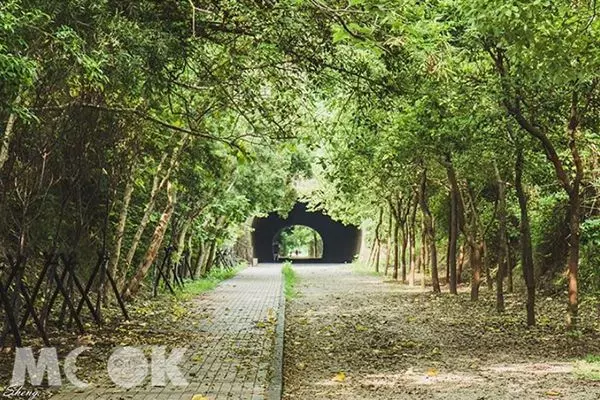 療癒放空超紓壓!全台六大自然景點洗滌心靈