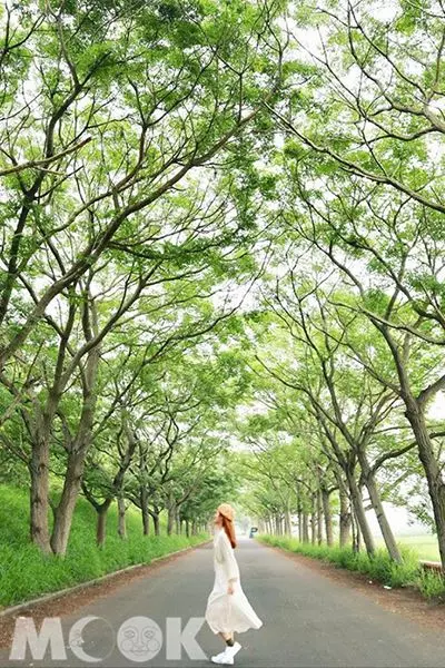 療癒放空超紓壓!全台六大自然景點洗滌心靈