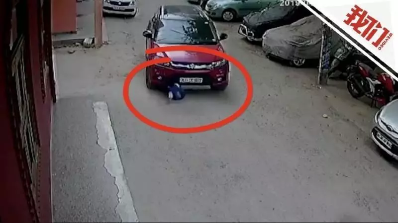 (內附視頻)只顧看手機 叔叔碾死侄!!