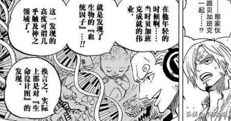 海賊王:詳細解析血統因子,它的核心在於生命的複製和改造
