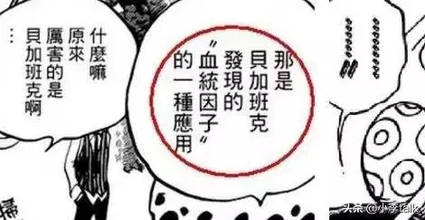 海賊王:詳細解析血統因子,它的核心在於生命的複製和改造
