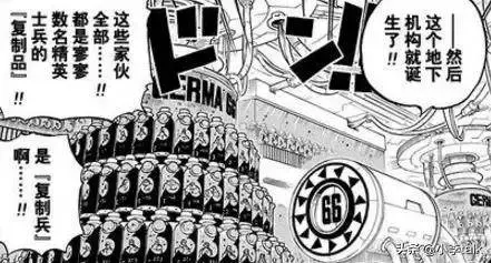 海賊王:詳細解析血統因子,它的核心在於生命的複製和改造