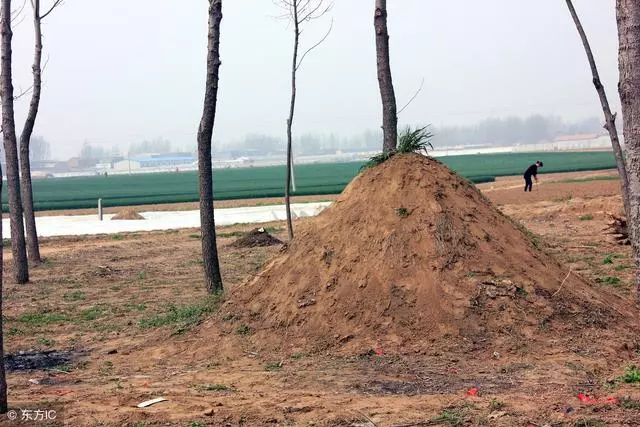 兒子記恨父母三十年,兒媳和孫子一席話,兒子哭著跪地向父母認錯