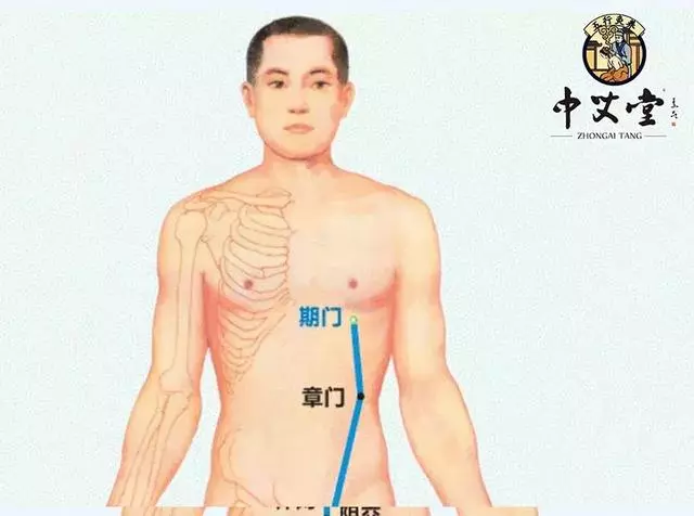 人體八會穴,艾灸調理臟腑問題的要穴(專業必備)