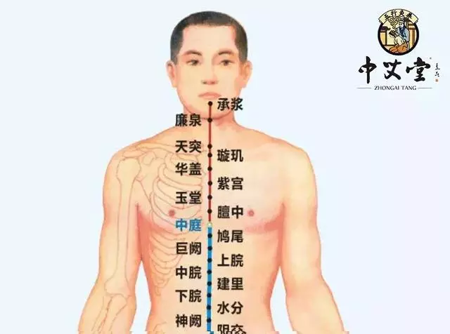 人體八會穴,艾灸調理臟腑問題的要穴(專業必備)